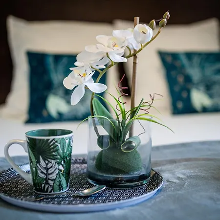 Le Bleu Turquoise 伊奎马维尔